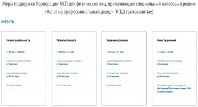 Кредитование самозанятых: типы кредитов, документы и процесс подачи заявки